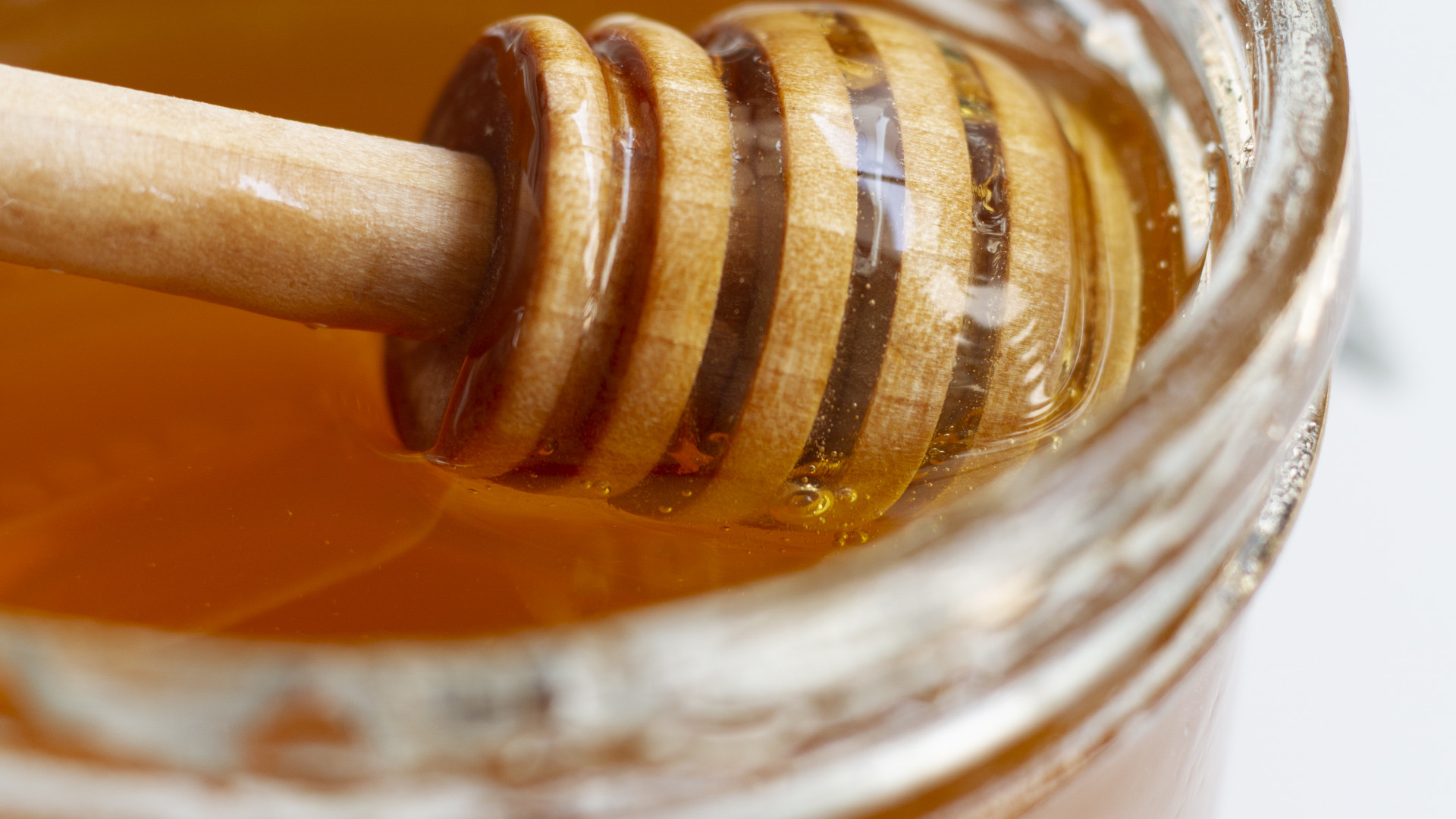 Miel d’acacia : tout comprendre sur la production et les bienfaits